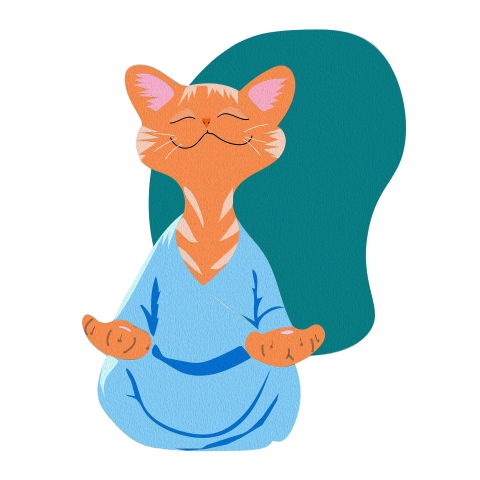 Meditating cat